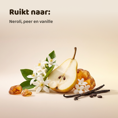 Parabelle geïnspireerd op Prada Paradox