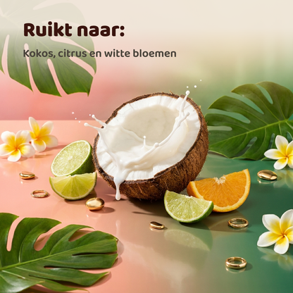 Tropical Heart geïnspireerd op Carioca Heart Jusbox
