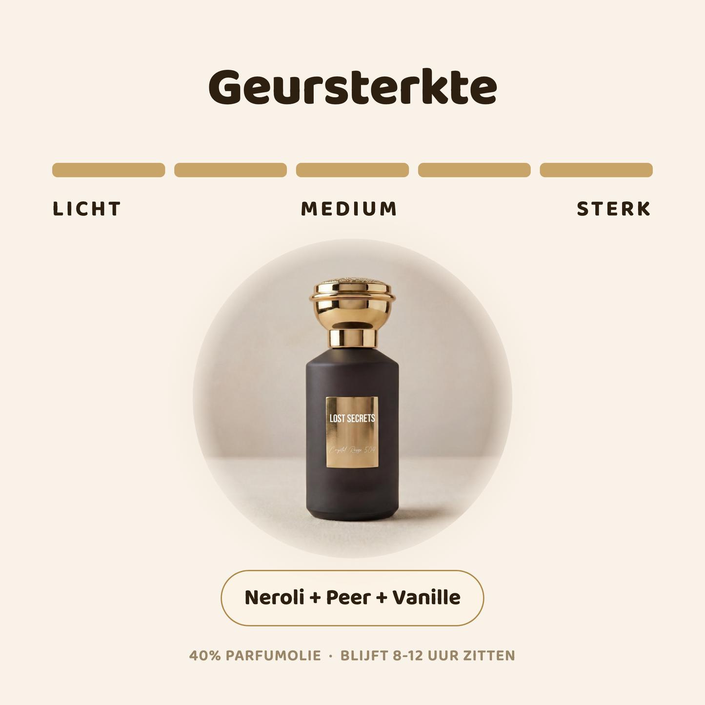 Parabelle geïnspireerd op Prada Paradox