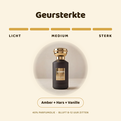 Golden Amber geïnspireerd op Blonde Amber