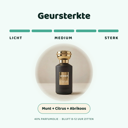Chill vibes geïnspireerd op Pacific chill Louis Vuitton