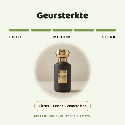 Golden timber geïnspireerd op Cedrat boise Mancera