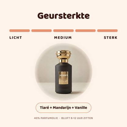 Dreamy nights geïnspireerd op Daydreams Montale