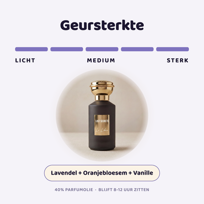 Le Libra geïnspireerd op Libre YSL