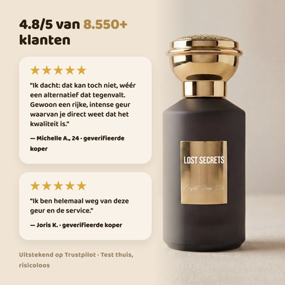 Parabelle geïnspireerd op Prada Paradox