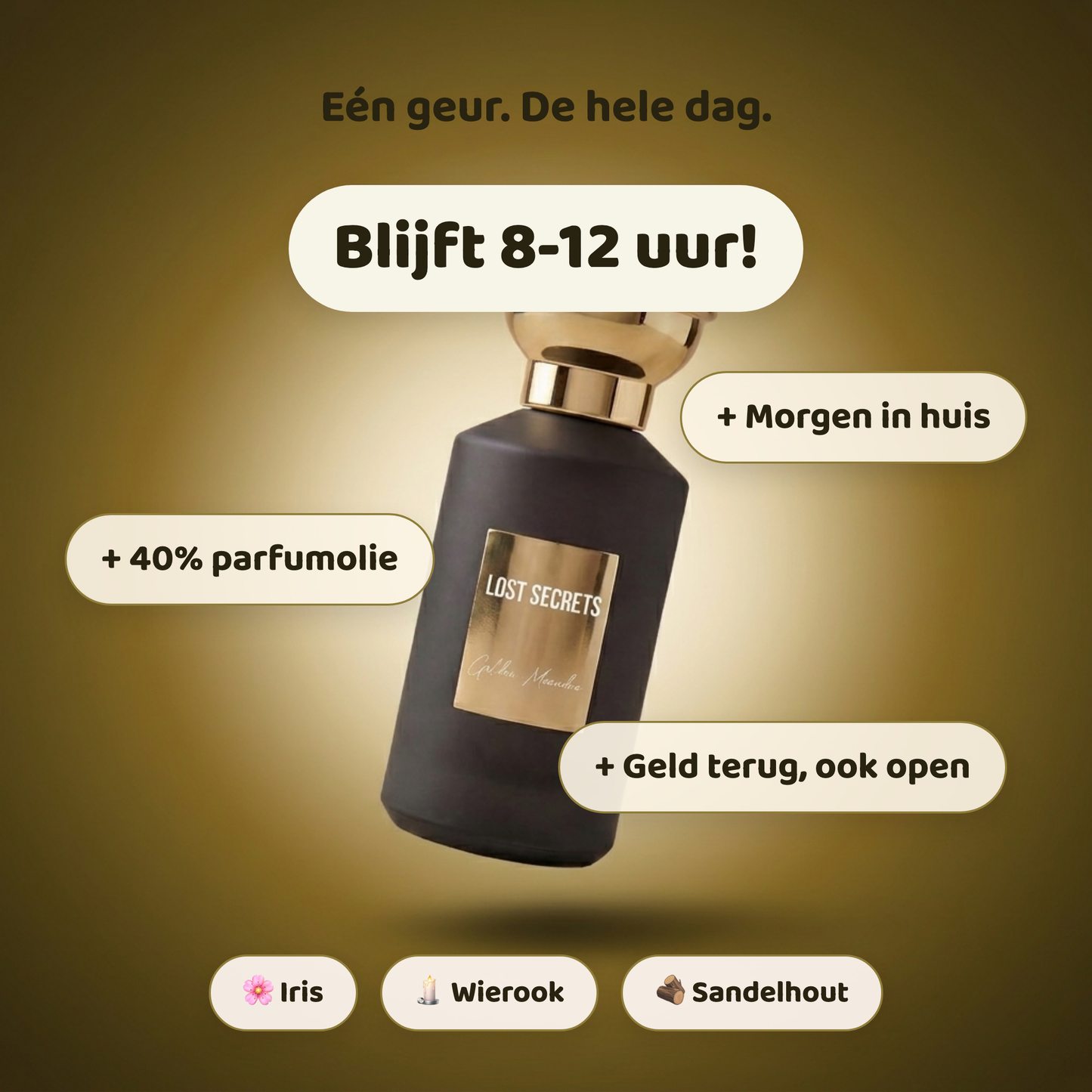 Golden Meandra geïnspireerd op Amouage meander