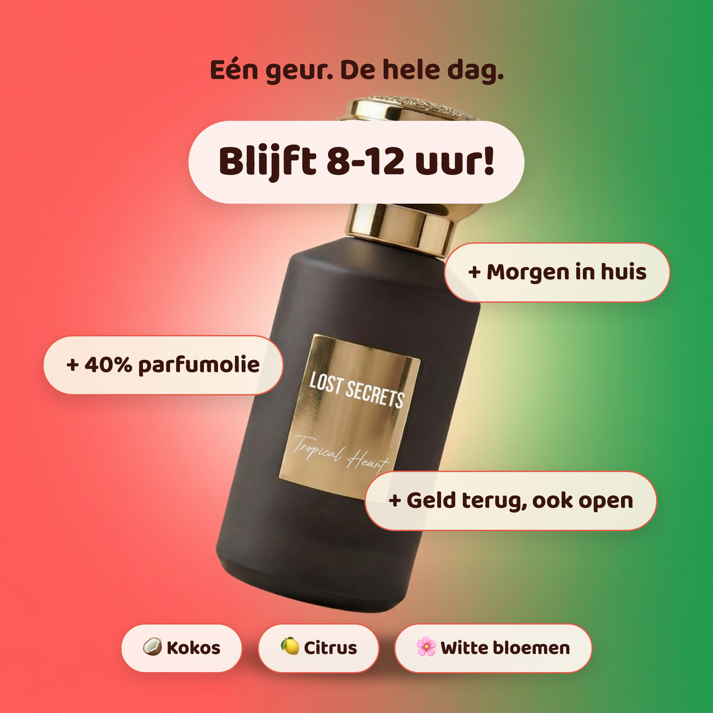 Tropical Heart geïnspireerd op Carioca Heart Jusbox