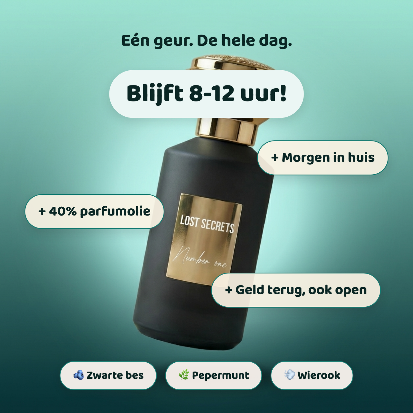 Number one geïnspireerd op Perfume 1 Fugazzi