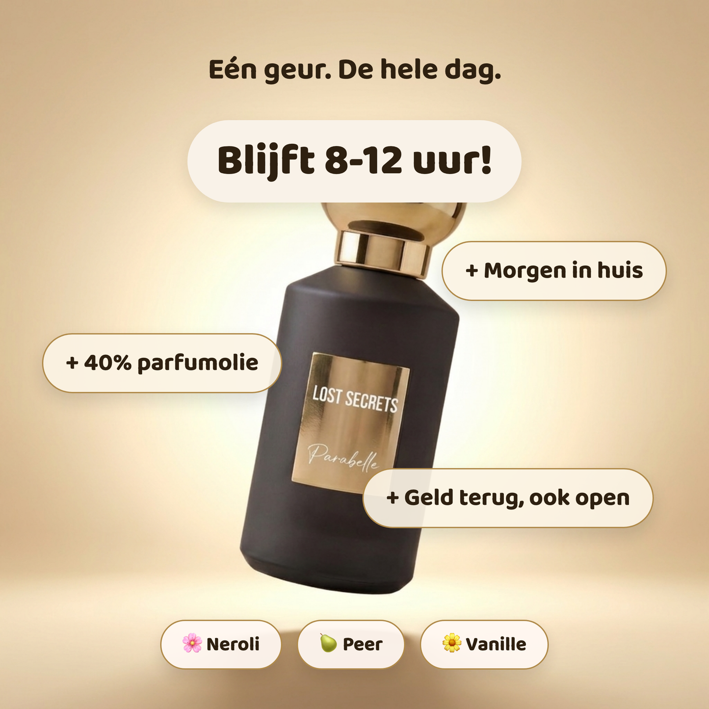 Parabelle geïnspireerd op Prada Paradox