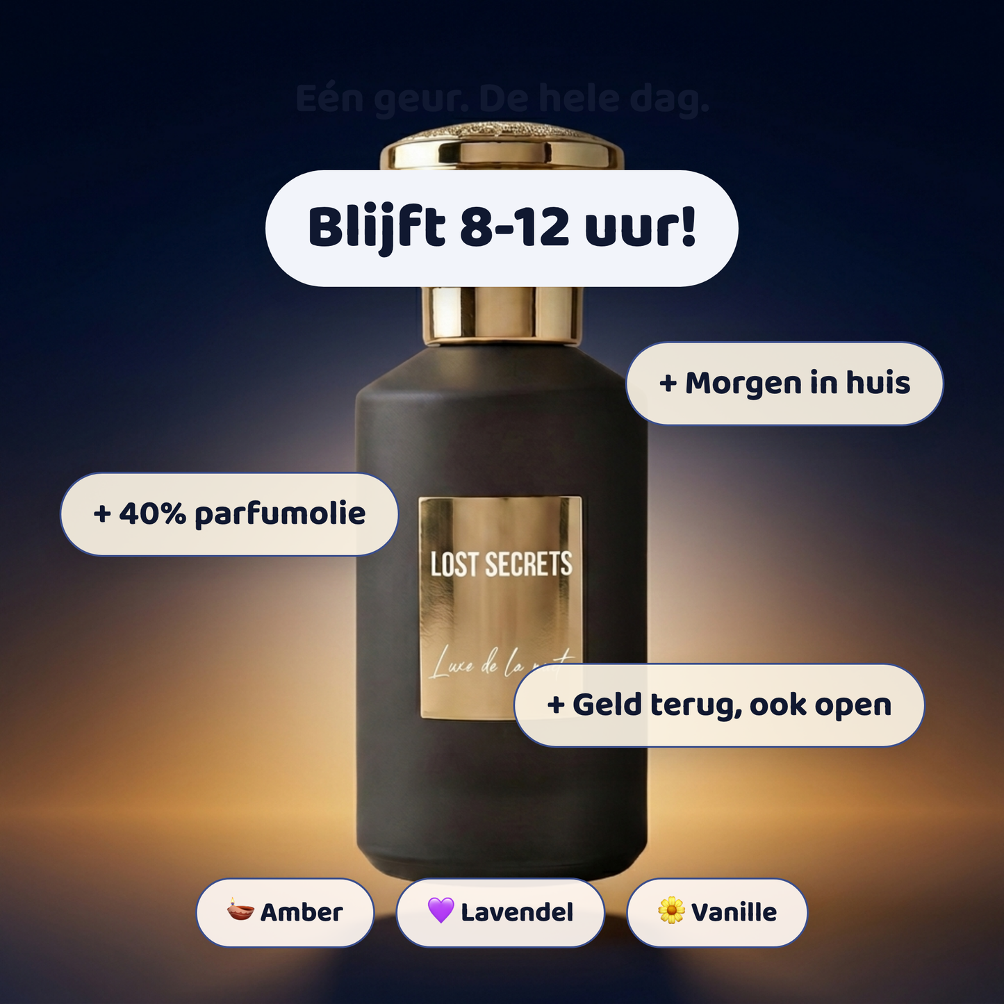 Luxe de la nuit geïnspireerd op Grand soir MFK