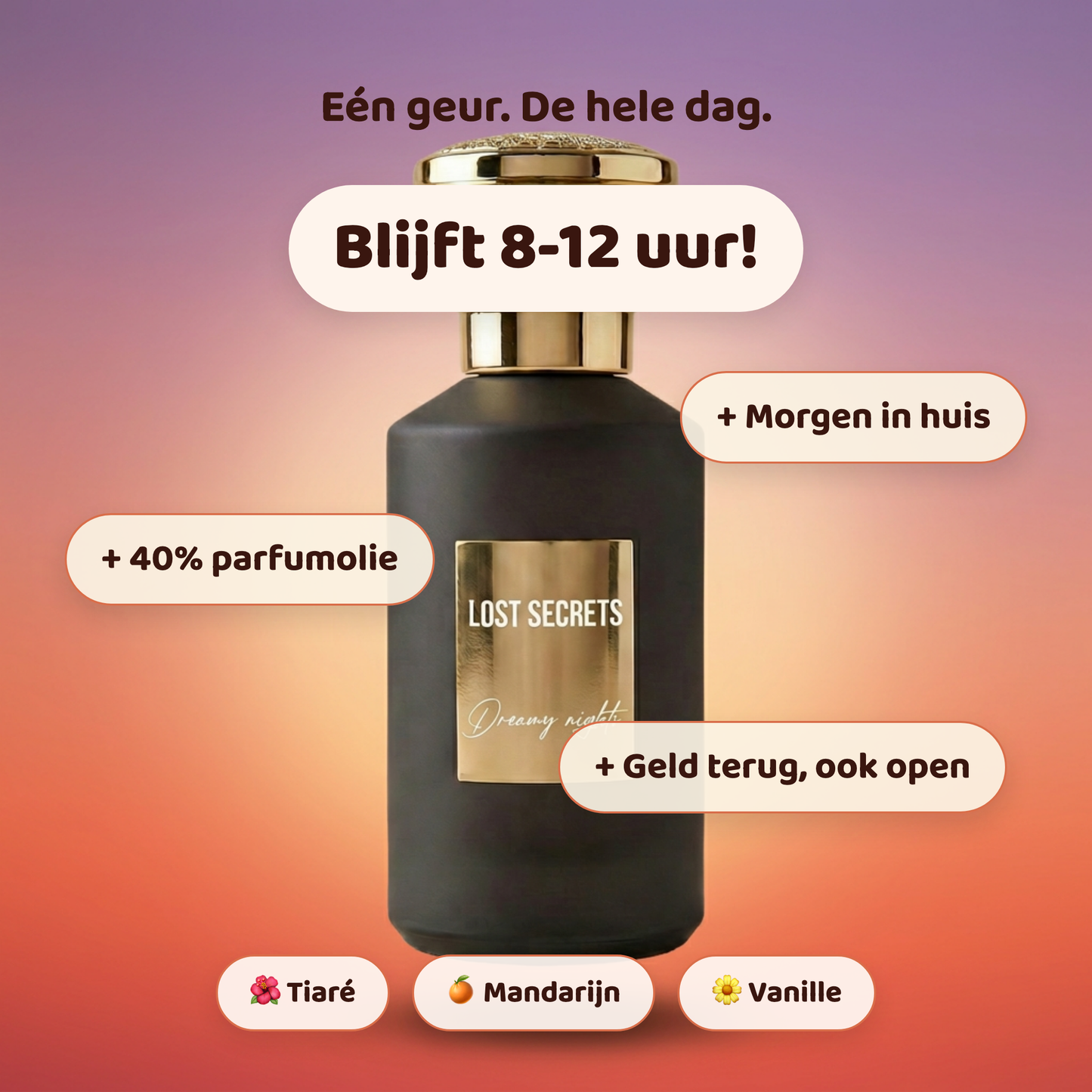 Dreamy nights geïnspireerd op Daydreams Montale